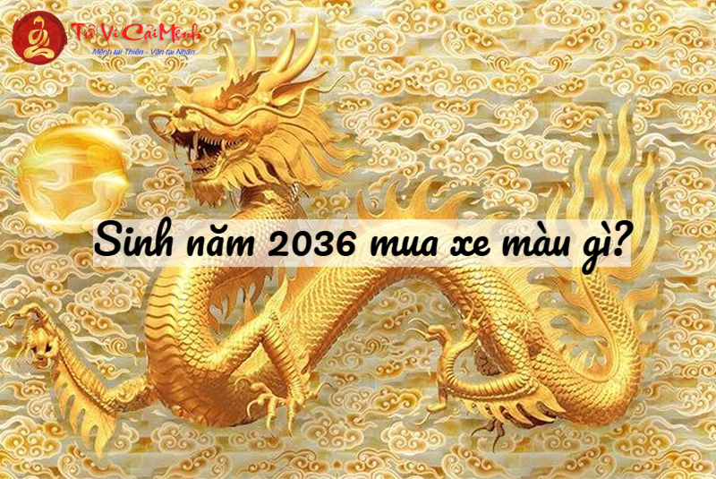 Sinh Năm 2036 Mua Xe Màu Gì? Chọn Màu Xe Hợp Mệnh Thổ Để Hút May Mắn