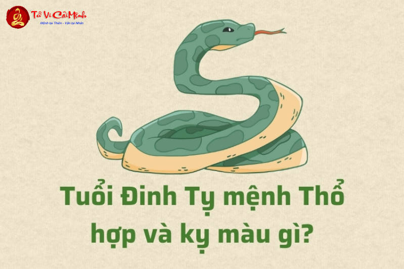 Sinh năm 2037 hợp màu gì? Bí quyết chọn màu sắc may mắn theo phong thủy