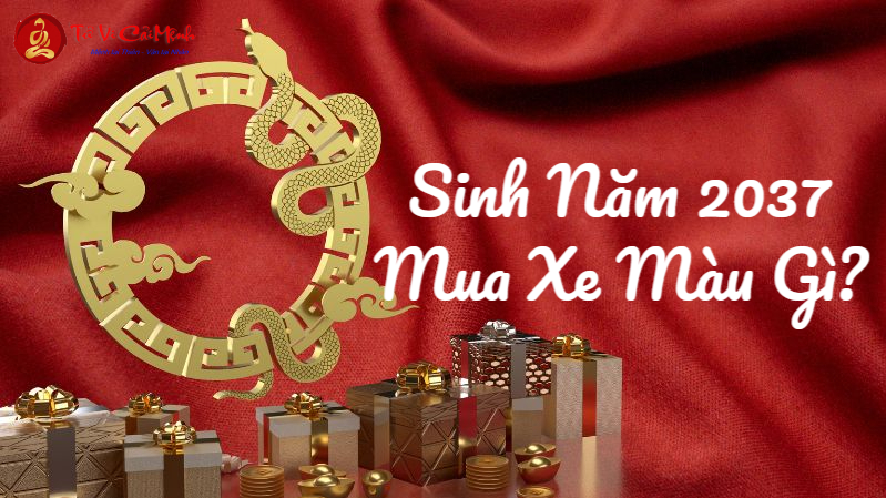 Sinh Năm 2037 Mua Xe Màu Gì? Chọn Màu Xe Hợp Mệnh Thổ Để Hút May Mắn