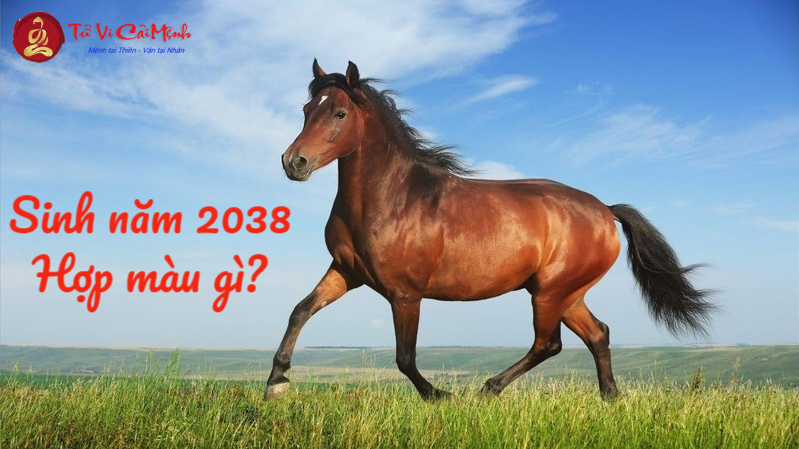 Sinh Năm 2038 Hợp Màu Gì? Chọn Màu Hợp Phong Thủy Để Gặp May Mắn