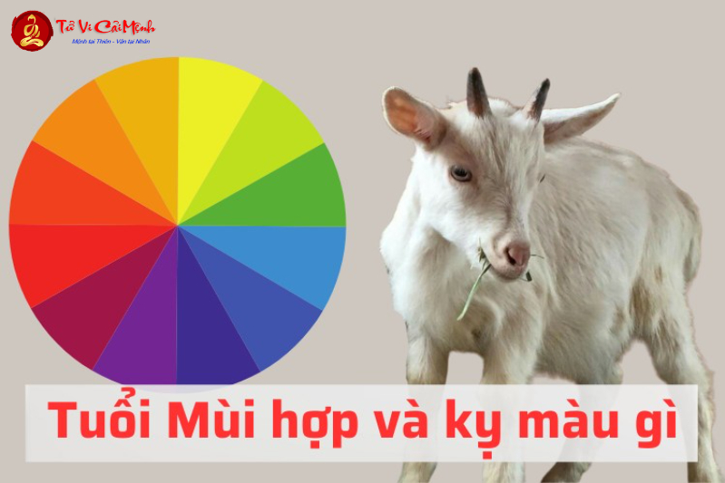 Sinh Năm 2039 Hợp Màu Gì? Chọn Màu Phong Thủy Để Thu Hút May Mắn