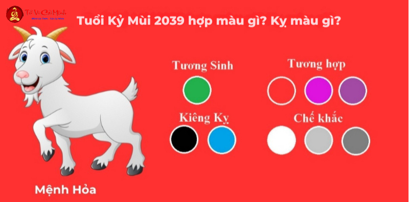 Sinh Năm 2039 Hợp Màu Gì? Chọn Màu Phong Thủy Để Thu Hút May Mắn