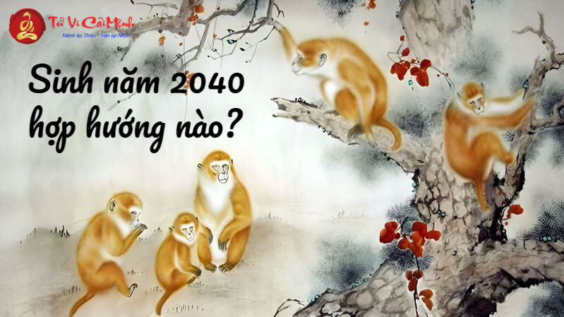 Sinh Năm 2040 Hợp Hướng Nào? Chọn Hướng Nhà Để Thu Hút May Mắn