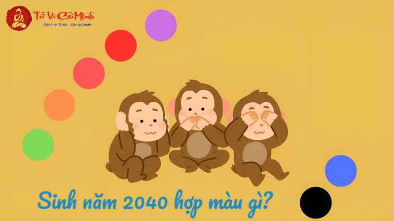 Sinh Năm 2040 Hợp Màu Gì? Chọn Màu Phong Thủy Giúp Tăng Tài Lộc