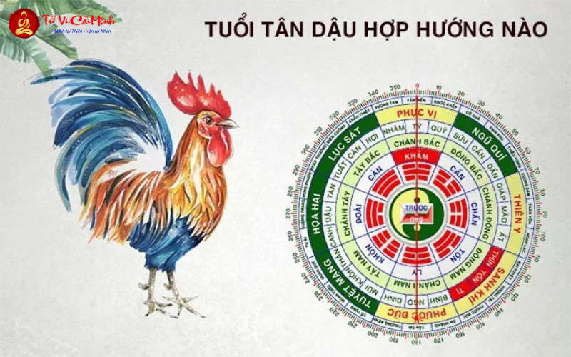 Sinh năm 2041 hợp hướng nào? Phân tích phong thủy hướng nhà, giường, bàn làm việc