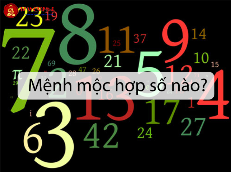 Sinh năm 2041 hợp số mấy? Sim phong thủy cho người sinh năm 2041