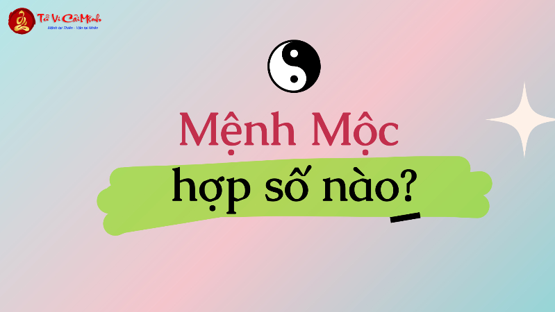 Sinh năm 2041 hợp số mấy? Sim phong thủy cho người sinh năm 2041