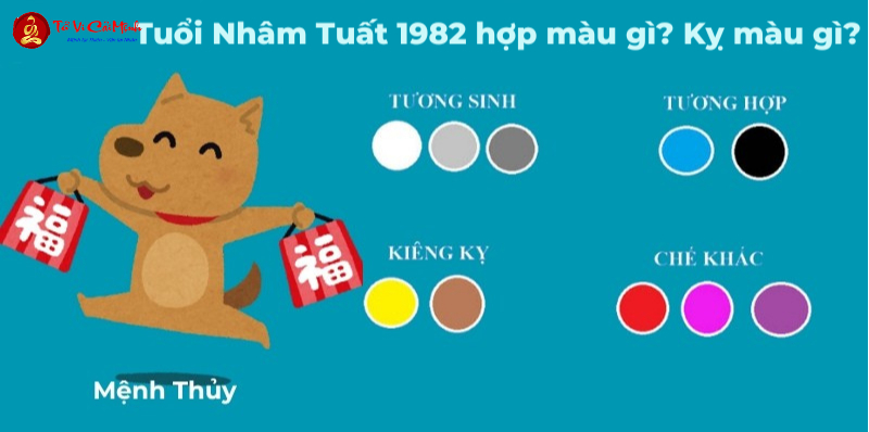 Sinh năm 2042 hợp màu gì? Bí quyết phong thủy màu sắc may mắn