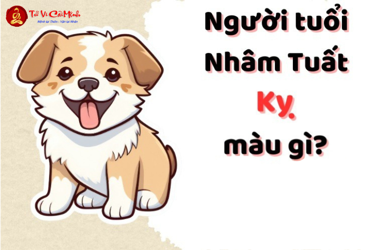 Sinh năm 2042 hợp màu gì? Bí quyết phong thủy màu sắc may mắn