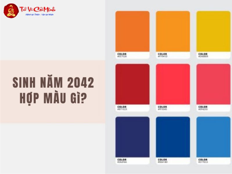 Sinh năm 2042 hợp màu gì? Bí quyết phong thủy màu sắc may mắn