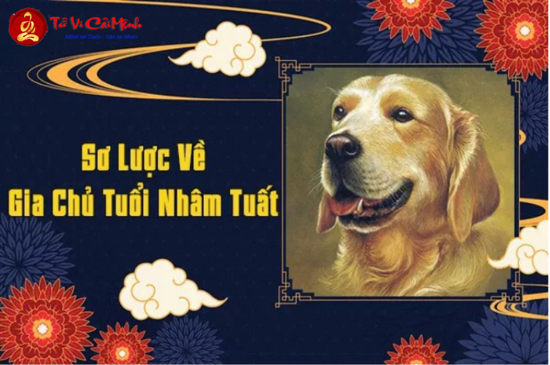 Sinh năm 2042 mệnh gì? Phân tích đầy đủ về mệnh Đại Hải Thủy