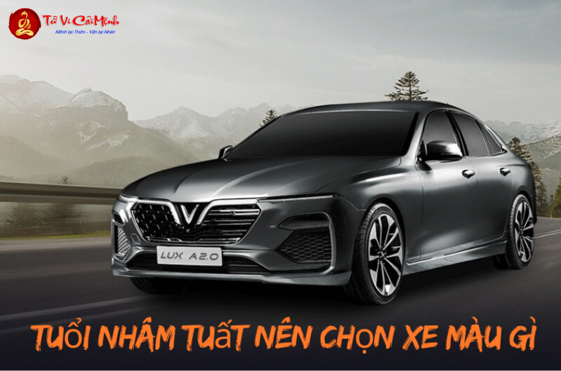 Sinh năm 2042 mua xe màu gì? Hướng dẫn chọn màu xe theo phong thủy