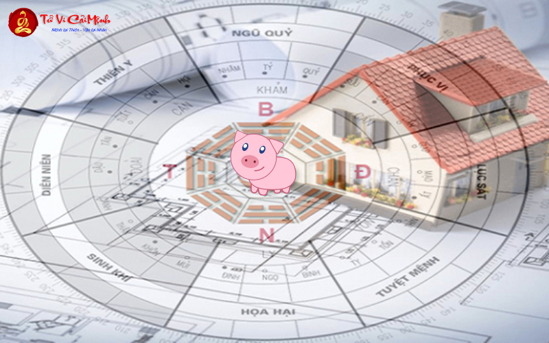 Sinh năm 2043 hợp hướng nào? Phân tích chi tiết phong thủy hướng nhà theo Bát Trạch