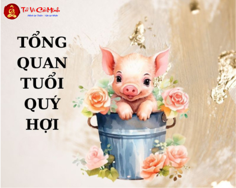 Sinh năm 2043 hợp số mấy? Sim phong thủy cho người sinh năm 2043