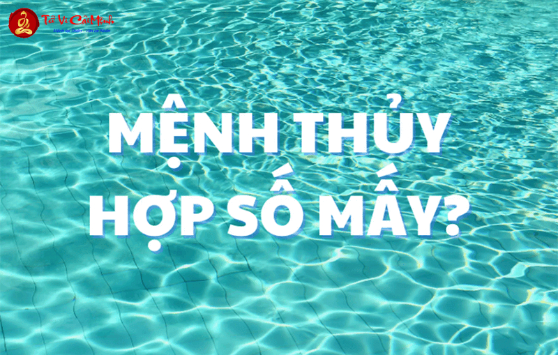 Sinh năm 2043 hợp số mấy? Sim phong thủy cho người sinh năm 2043