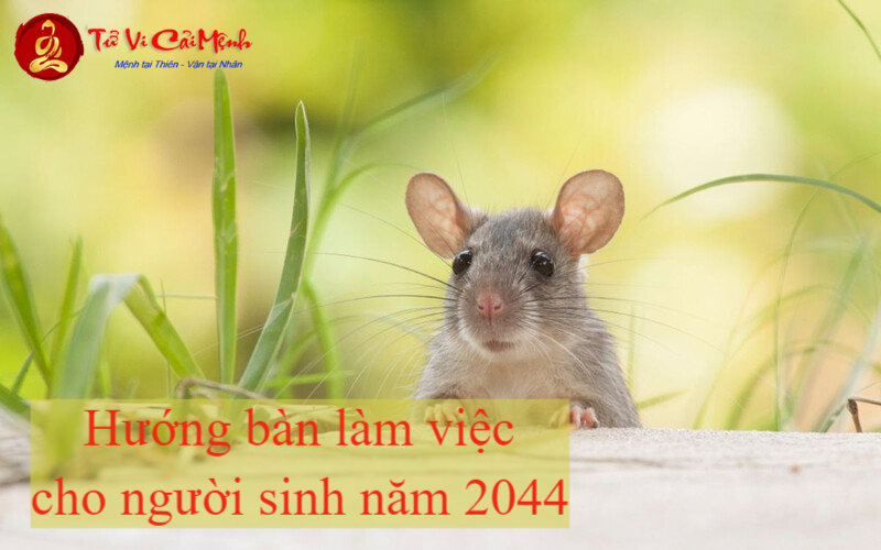 Bí Mật Hướng Bàn Làm Việc Hút Tài Lộc Cho Người Sinh Năm 2044!