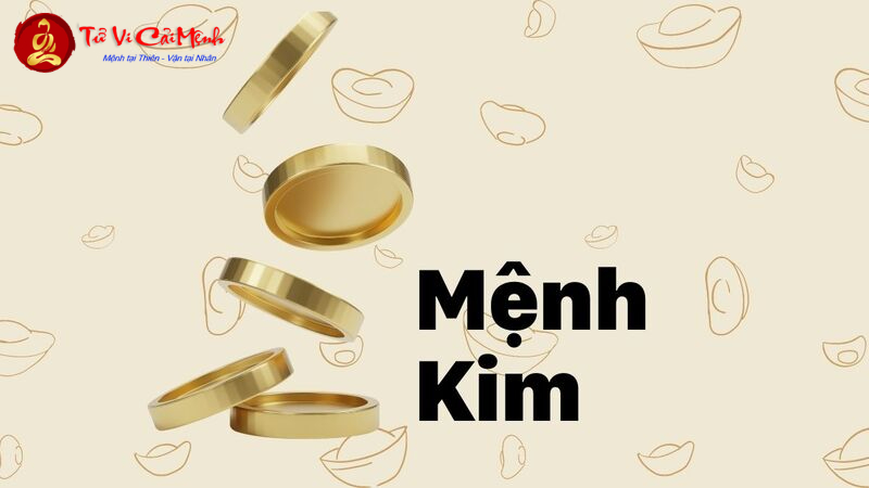 Khám Phá Vận Mệnh Tuổi Giáp Tý 2044 – Bí Quyết Của Mệnh Kim