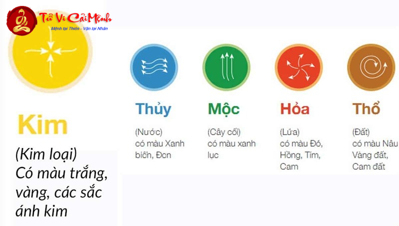 Sinh Năm 2044 Mua Xe Màu Gì Để Tiền Vào Như Nước? Khám Phá Ngay!