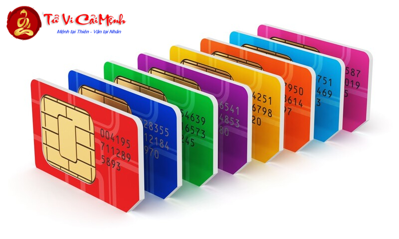 Người Sinh Năm 2048 Hợp Số Gì? Cách Chọn Sim Phong Thủy Để Tăng Vận May