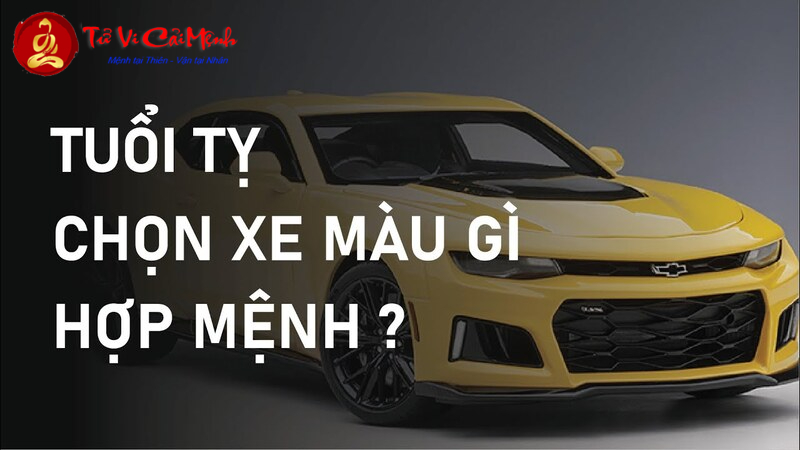 Người Sinh Năm 2049 Nên Mua Xe Màu Gì Để Hút Tài Lộc và May Mắn?