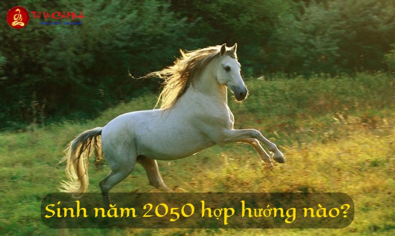 Sinh năm 2050 hợp hướng nào? Bát trạch phong thủy cho tuổi Canh Ngọ