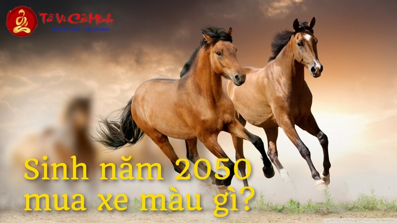 Sinh Năm 2050 Mua Xe Màu Gì? - Hướng Dẫn Chi Tiết Theo Phong Thủy