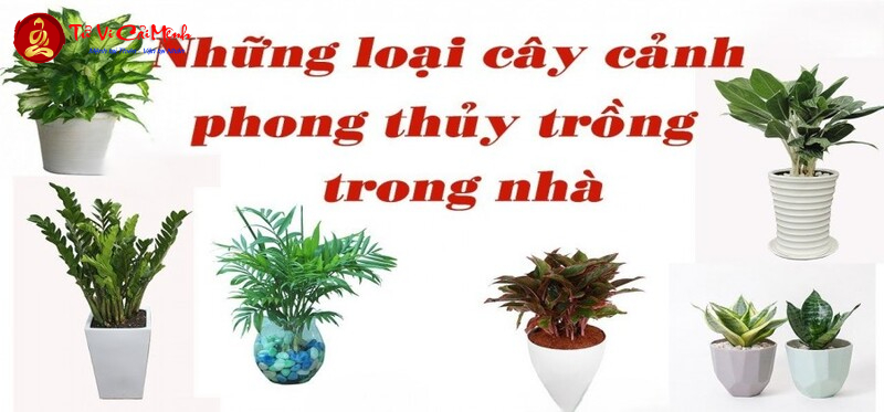 Bí Quyết Phong Thủy Bàn Làm Việc: Đón Tài Lộc, Kích Hoạt Sự Nghiệp Cho Người Tuổi Nhâm Tý 1972!