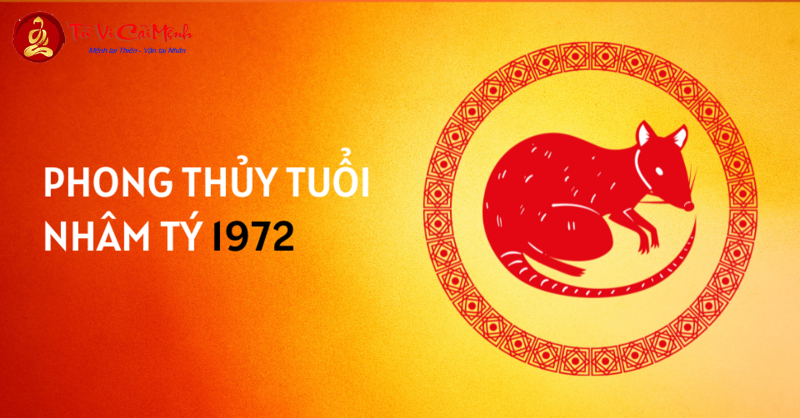 Bí Quyết Chọn Hướng Kê Giường Ngủ Hợp Phong Thủy Cho Tuổi Nhâm Tý 1972