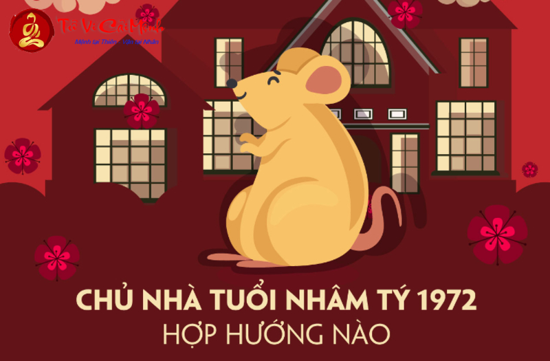 Sinh Năm 1972 Hợp Hướng Nào? Bí Mật Phong Thủy Giúp Tăng Tài Lộc Và Hạnh Phúc