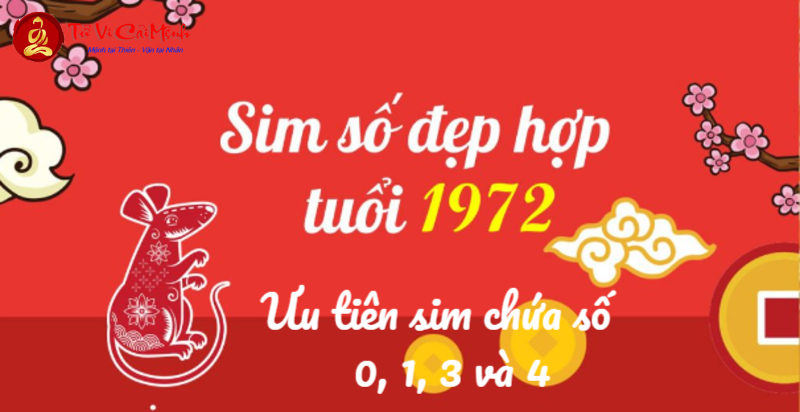 Khám Phá Con Số May Mắn Năm Sinh 1972: Bí Mật Phong Thủy Giúp Kích Tài Lộc!