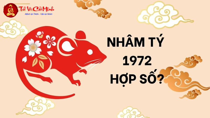 Khám Phá Con Số May Mắn Năm Sinh 1972: Bí Mật Phong Thủy Giúp Kích Tài Lộc!