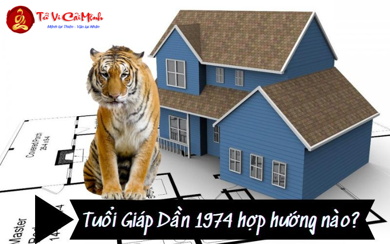 Sinh Năm 1974: Bật Mí Hướng Nhà Giúp Gia Tăng Tài Lộc Và Bình An!