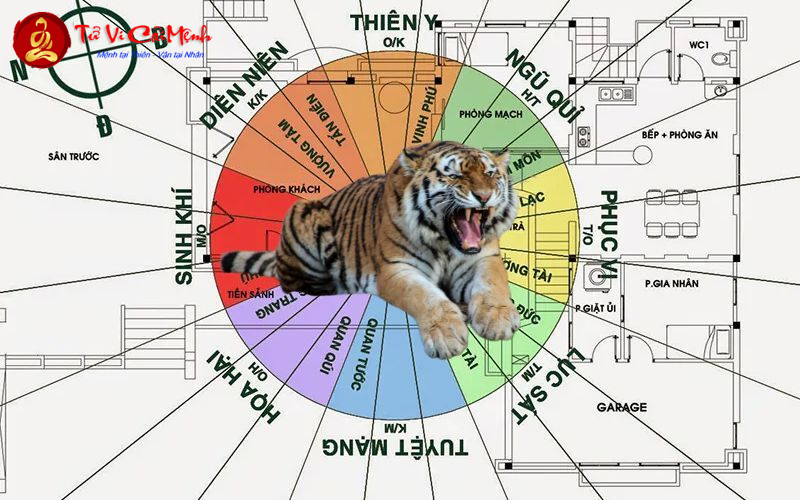 Sinh Năm 1974: Bật Mí Hướng Nhà Giúp Gia Tăng Tài Lộc Và Bình An!