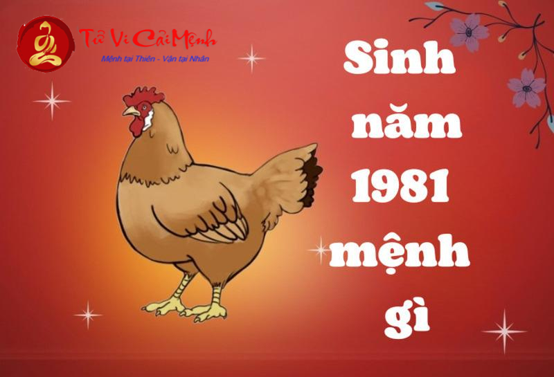 Sinh năm 1981 mệnh gì? Khám phá đầy đủ về Tuổi Tân Dậu