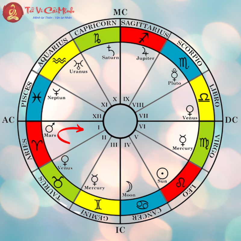 C&aacute;c loại cung nh&agrave; kh&aacute;c nhau