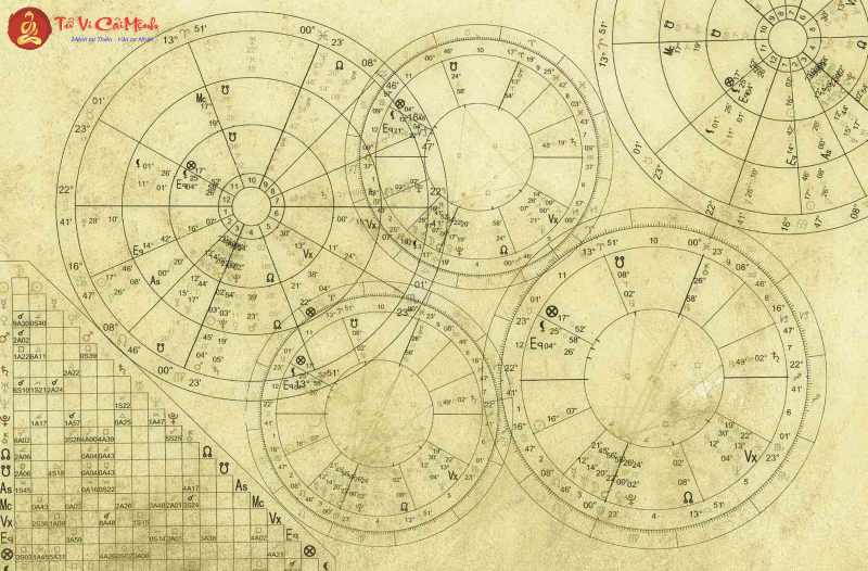 C&aacute;c loại cung nh&agrave; kh&aacute;c nhau