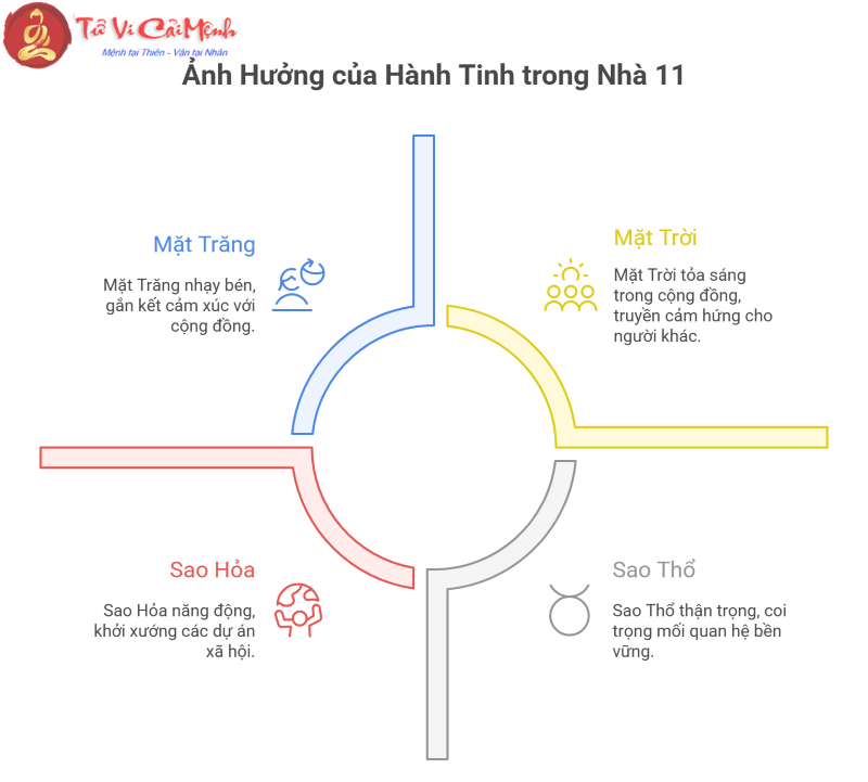 Cung Nhà 11 trong chiêm tinh