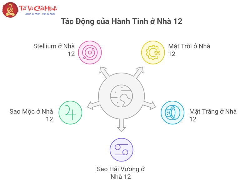 Cung Nhà 12 trong chiêm tinh