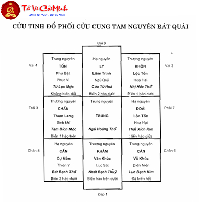 Cửu Tinh Đồ Phối Cửu Cung Tam Nguyên Bát Quái