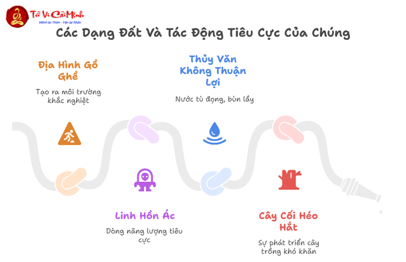 Đất Thiêng Sinh Bậc Thánh Hiền, Đất Xấu Sinh Người Thô Tục: Bí Mật Địa Linh Nhân Kiệt Trong Phong Thủy