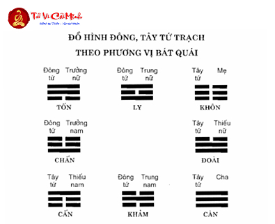 Đồ Hình Đông, Tây Tứ Trạch Theo Phương Vị Bát Quái