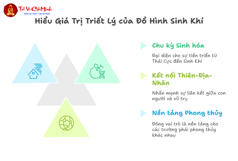 Đồ Hình Sinh Khí: Cấu Trúc – Ý Nghĩa – Ứng Dụng Thực Tế