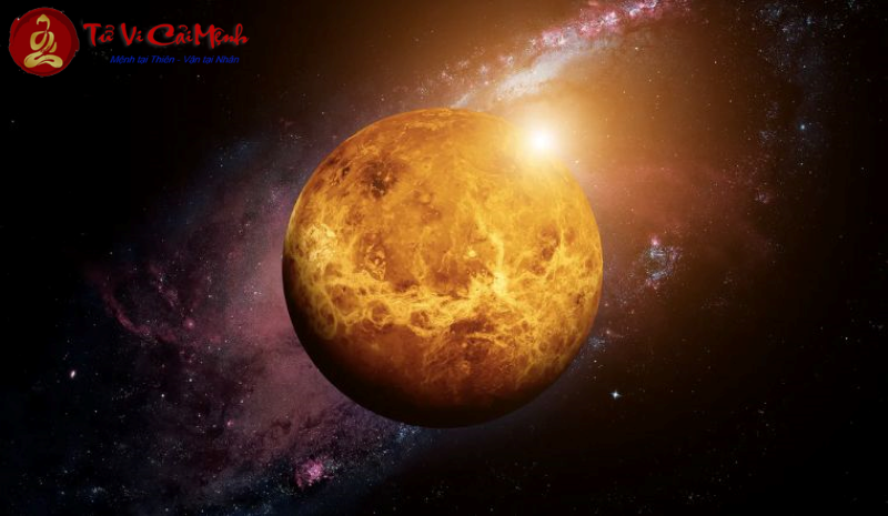 Cách Sao Kim thể hiện qua từng vị trí cung hoàng đạo