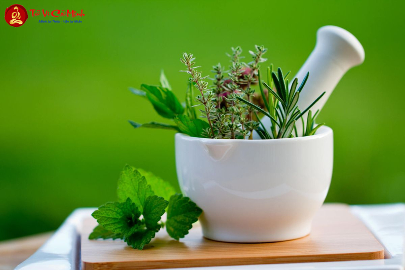 Hóa Giải Phong Thủy Bệnh Tật: Phương Pháp Cải Thiện Sức Khỏe Hiệu Quả