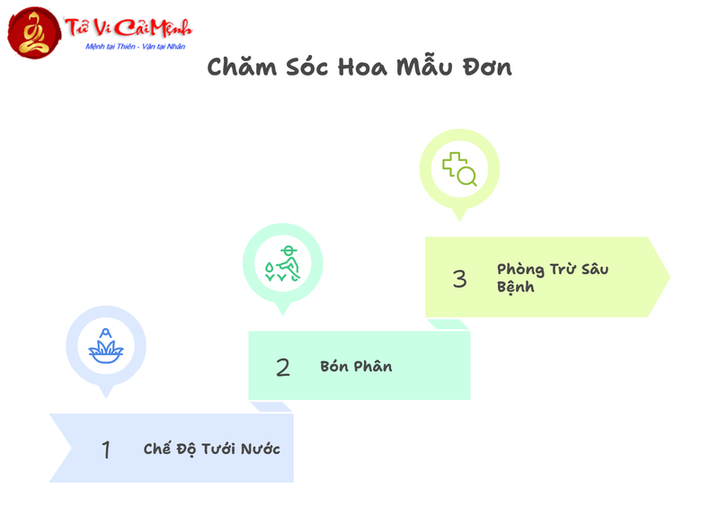 Hoa Mẫu Đơn Trong Phong Thủy: Biểu Tượng Giàu Sang Và Thịnh Vượng