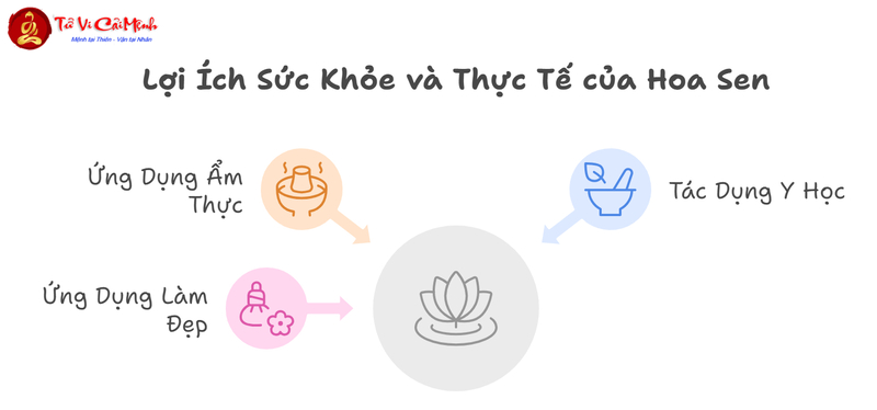 Hoa Sen: Biểu Tượng Thiêng Liêng Và Cây Phong Thủy Mang Lại Bình An