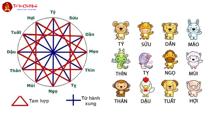 Hướng Nhà Cho 12 Con Giáp - Bí Quyết Chọn Hướng Phù Hợp Theo Tuổi
