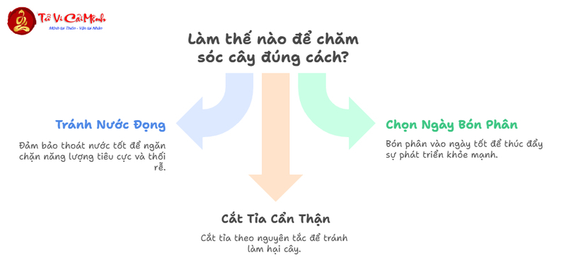 Những Điều Kiêng Kỵ Khi Trồng Cây Phong Thủy: Tránh Sai Lầm Phá Vận
