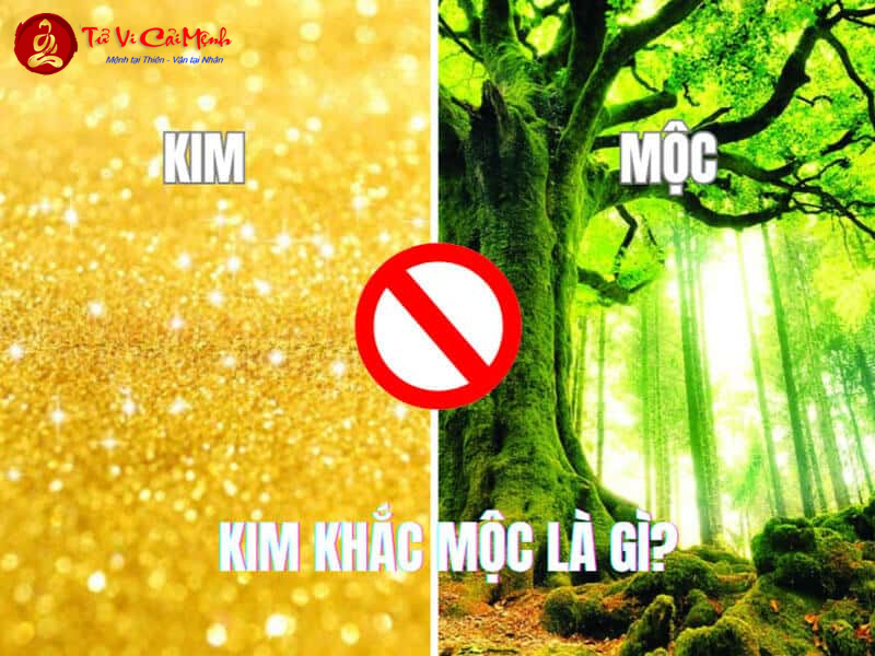 Kim Khắc Mộc - Quy Luật Tương Khắc Đầu Tiên Trong Ngũ Hành