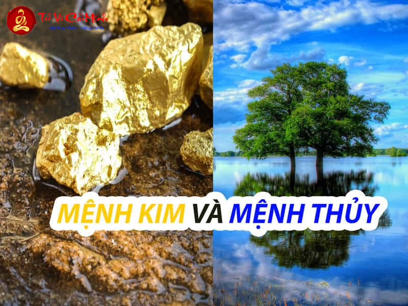 Kim Sinh Thủy - Quy Luật Tương Sinh Ngũ Hành Cơ Bản